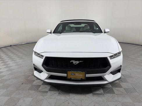Used 2024 Ford Mustang Premium RWD image 3