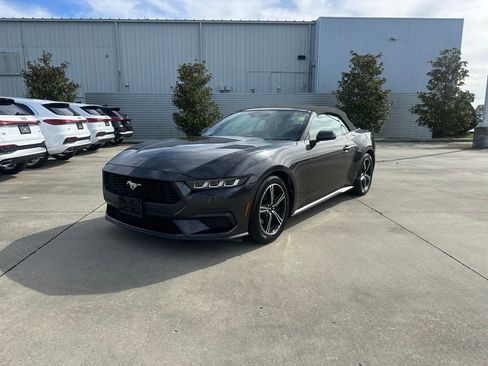 Used 2024 Ford Mustang Premium image 1