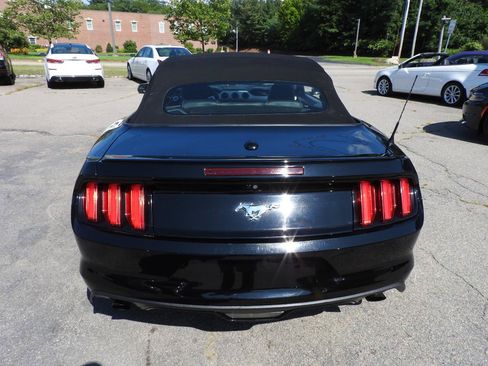 Used 2017 Ford Mustang Premium RWD image 4