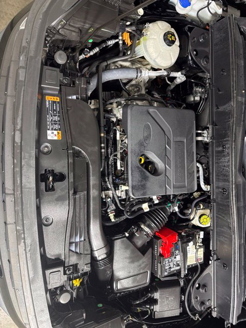 Used 2021 Ford Bronco Sport AWD/4WD image 12