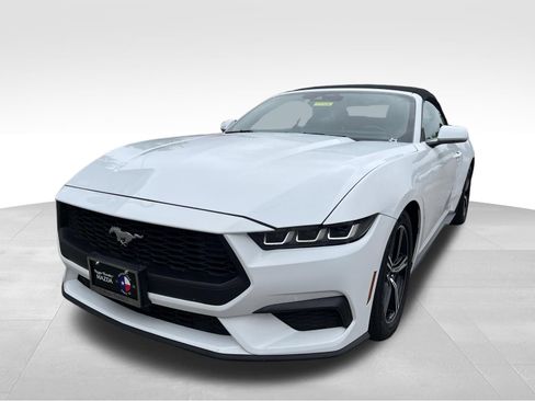 Used 2024 Ford Mustang Premium RWD image 1