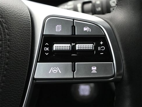 Used 2023 Kia Telluride SX X-Line image 10