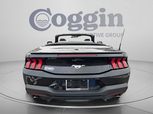Used 2024 Ford Mustang Premium RWD image 4