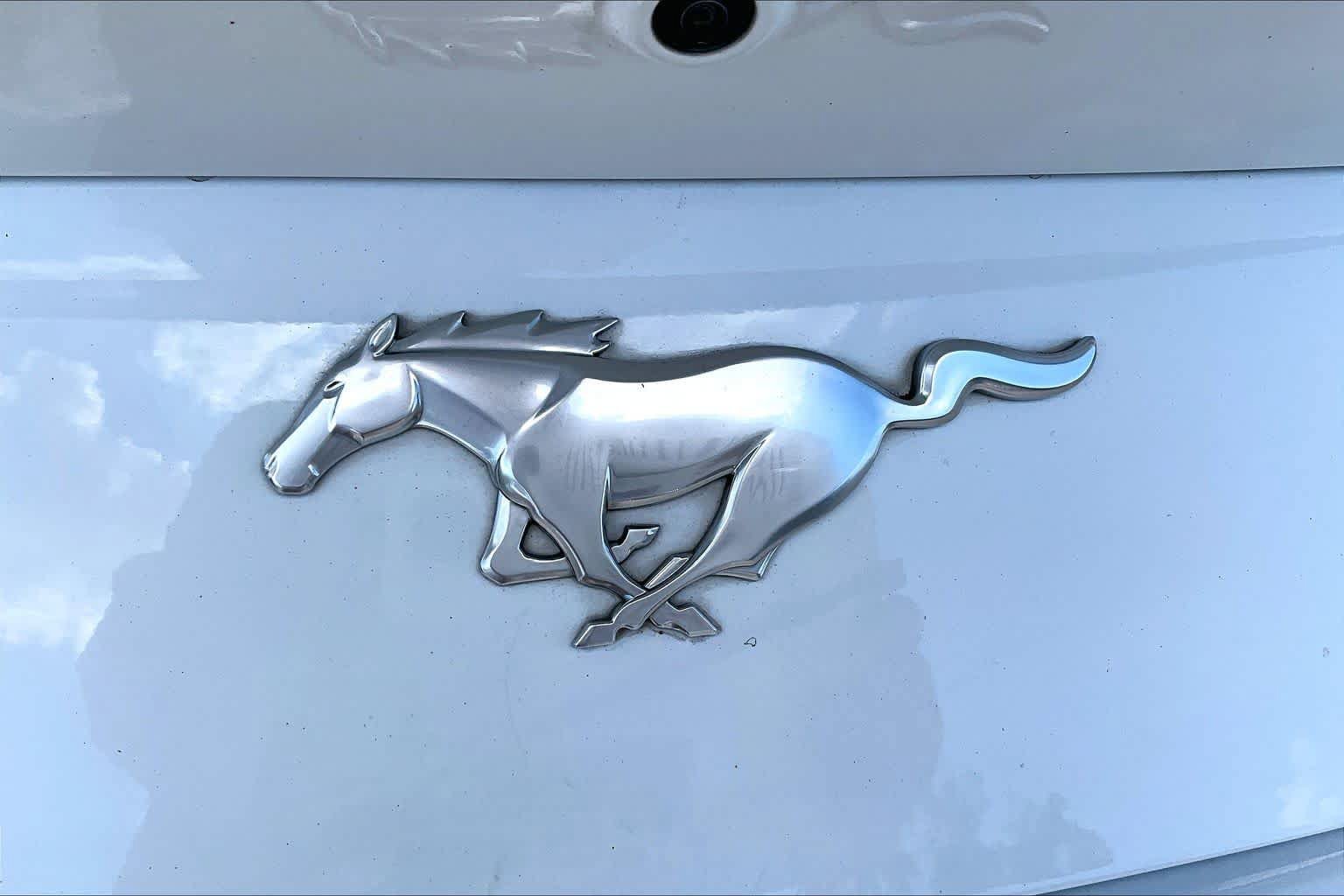 Used 2024 Ford Mustang Coupe w/ 2.3L High Performance Package RWD image 27