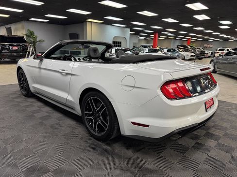 Used 2019 Ford Mustang Premium image 15