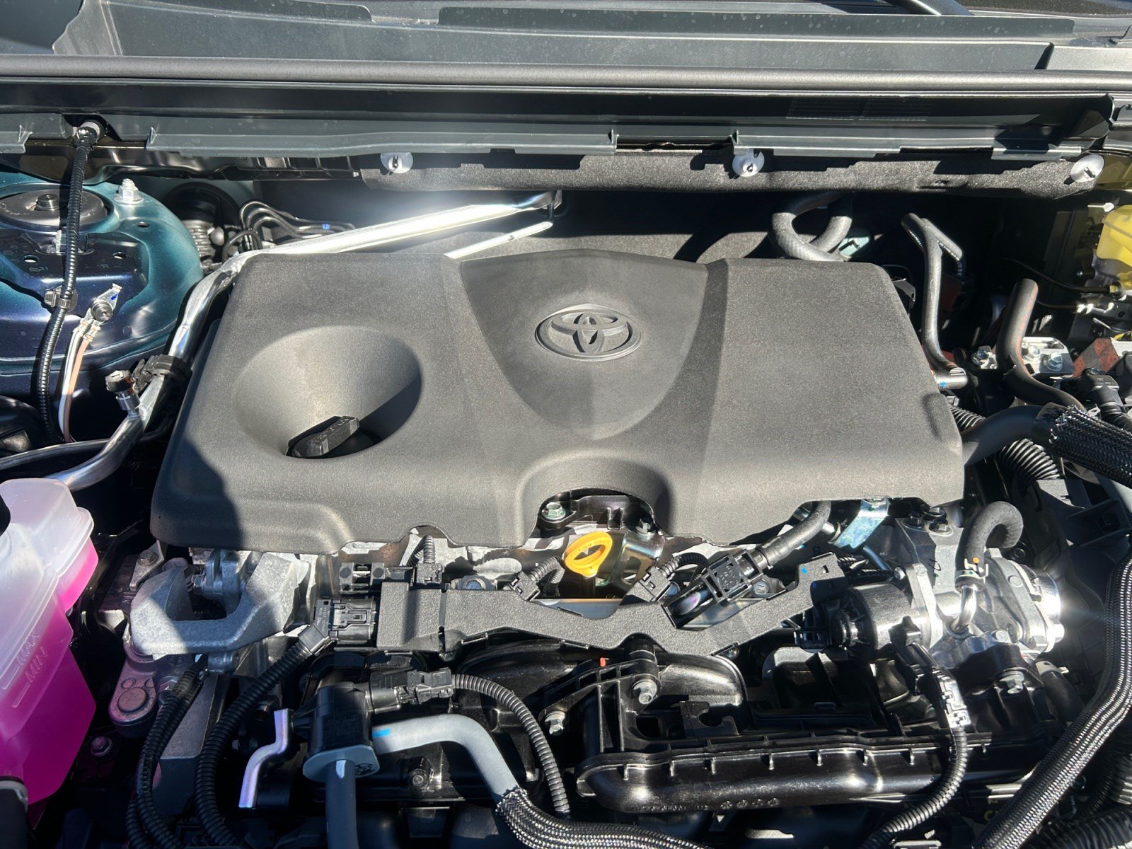 Certified 2026 Toyota RAV4 XLE Premium w/ Panoramic Sun Roof Package AWD/4WD image 21