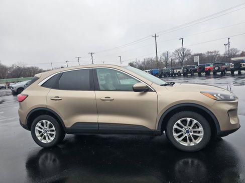 Used 2020 Ford Escape SE image 4