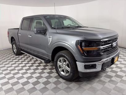 Used 2025 Ford F150 XLT w/ Equipment Group 301A Standard