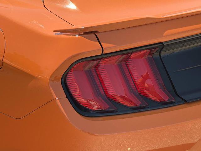 Certified 2021 Ford Mustang GT w/ Equipment Group 301A RWD image 8