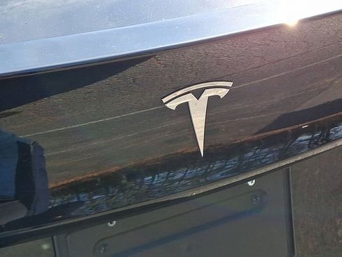 Used 2019 Tesla Model 3 Standard Range Plus image 40