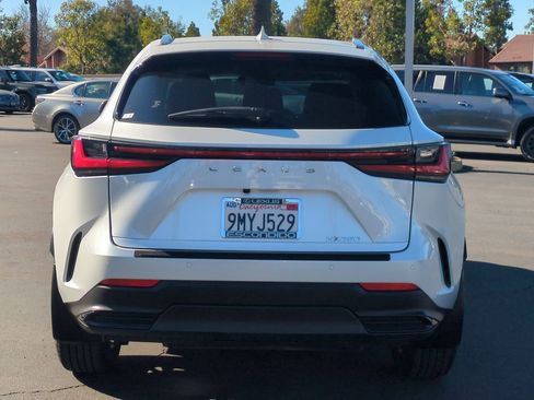 Certified 2025 Lexus NX 250 FWD w/ Premium Package image 6