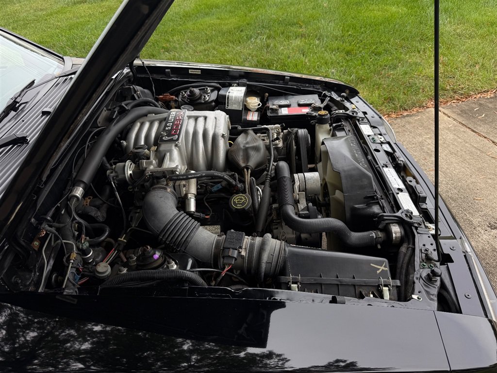 Used 1993 Ford Mustang Cobra RWD image 88