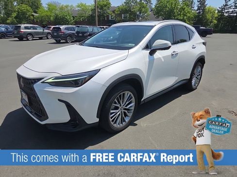 Used 2024 Lexus NX 350 AWD w/ Vision Package image 2