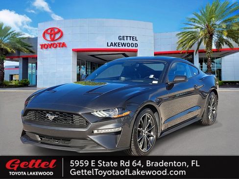 Used 2019 Ford Mustang Premium w/ Equipment Group 201A image 1