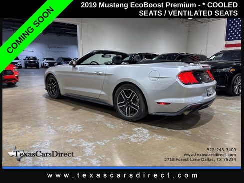 Used 2019 Ford Mustang Premium image 3