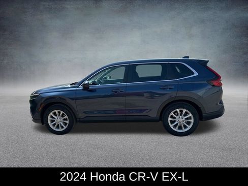 Used 2024 Honda CR-V EX-L image 2