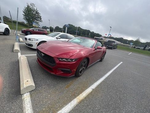 Used 2024 Ford Mustang Premium RWD image 3