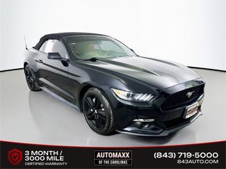 Used 2017 Ford Mustang Premium w/ Ecoboost Performance Package video 1