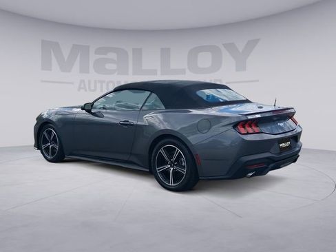 Used 2024 Ford Mustang Premium RWD image 3