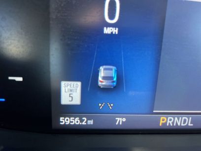 Used 2025 Ford Escape ST-Line w/ Tech Pack #1