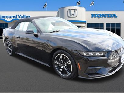 Used 2024 Ford Mustang Premium