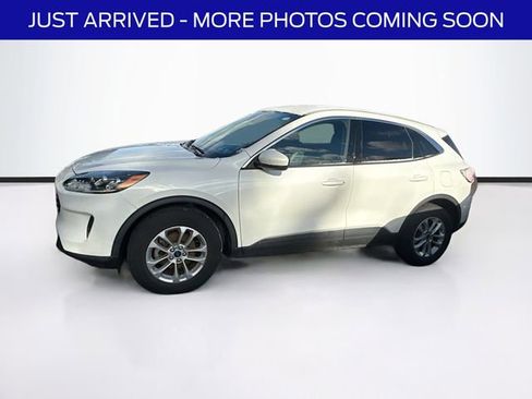 Used 2020 Ford Escape SE image 4