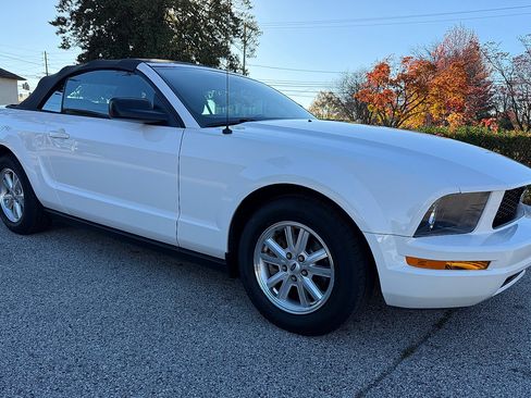 Used 2006 Ford Mustang V6 image 2