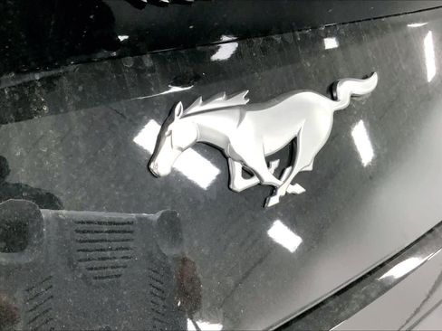 New 2026 Ford Mustang Coupe image 13