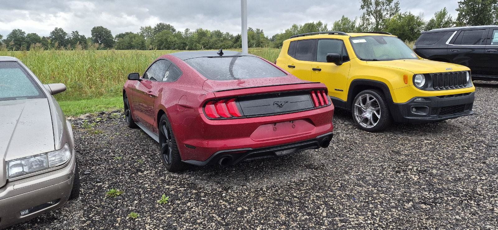 Used 2022 Ford Mustang Coupe w/ Equipment Group 101A RWD image 4