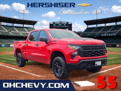 New 2026 Chevrolet Silverado 1500 Custom Trail Boss w/ Dark Appearance Package