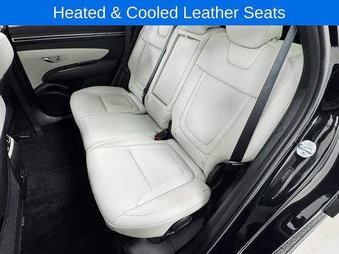 Used 2024 Hyundai Tucson Limited AWD/4WD image 12
