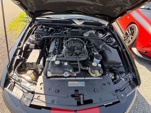 Used 2009 Ford Mustang Shelby GT500 RWD image 9