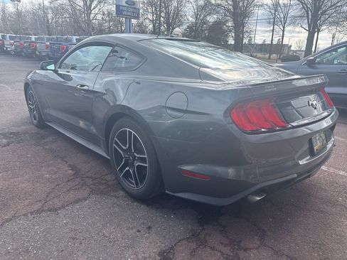 Used 2019 Ford Mustang EcoBoost w/ Equipment Group 101A image 5