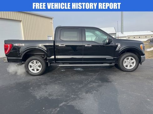 Used 2023 Ford F150 XLT w/ Equipment Group 302A High image 3