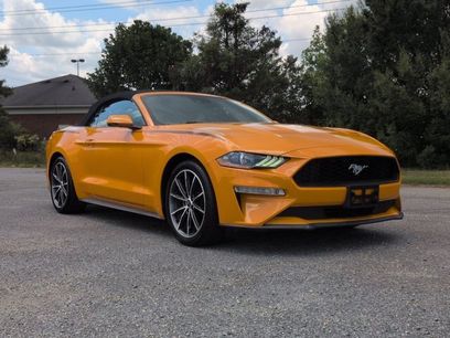 Certified 2019 Ford Mustang Premium w/ Equipment Group 201A