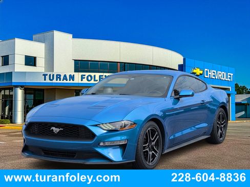 Used 2019 Ford Mustang Premium image 1