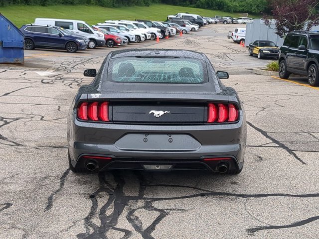 Certified 2019 Ford Mustang Coupe RWD image 5