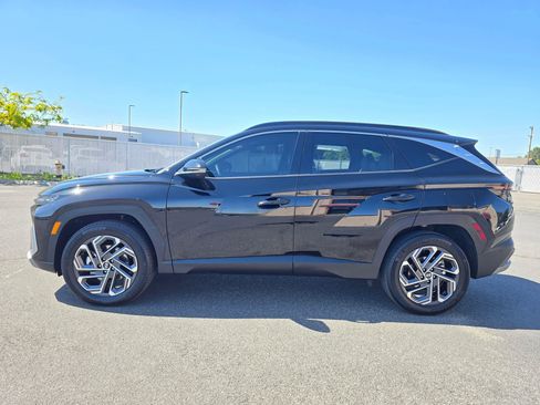 Used 2025 Hyundai Tucson Limited AWD/4WD image 3