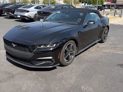 Used 2024 Ford Mustang Premium