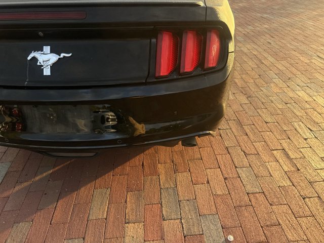 Used 2017 Ford Mustang Convertible w/ Equipment Group 051A RWD image 15