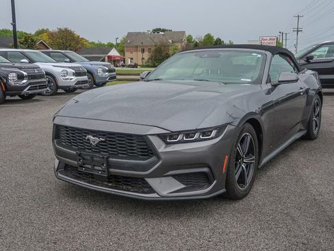 Used 2024 Ford Mustang Premium RWD image 5