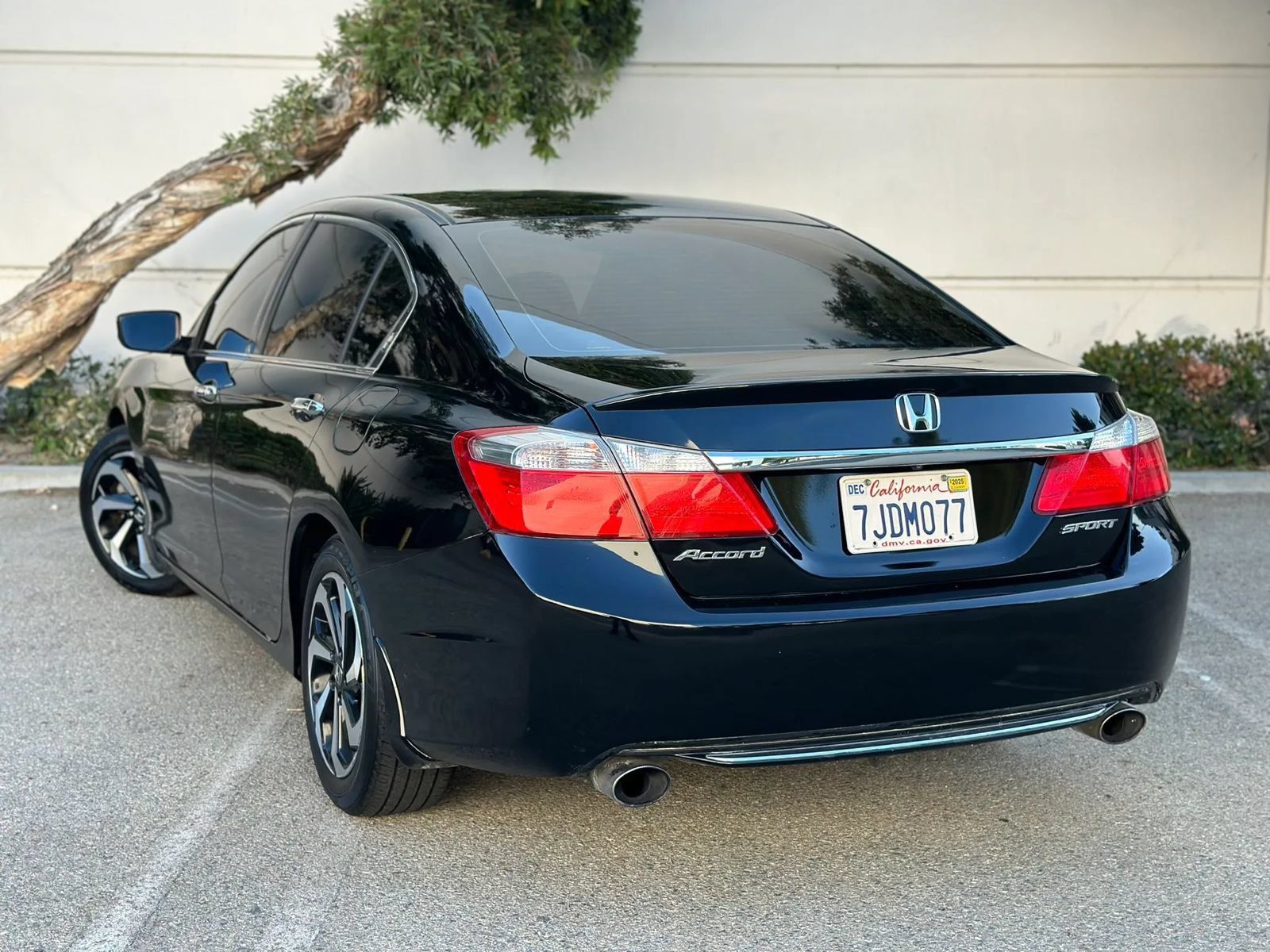 Used 2015 Honda Accord Sport image 7