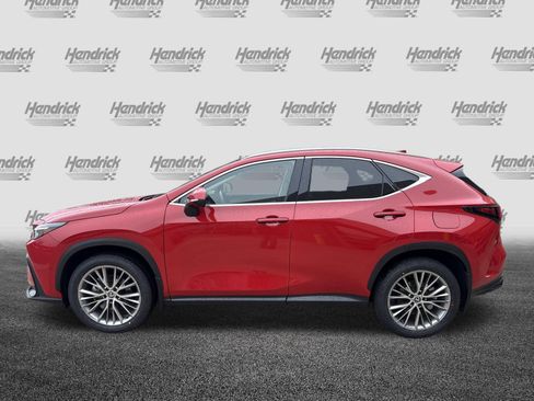 Certified 2025 Lexus NX 350 AWD w/ Cold Area Package image 7