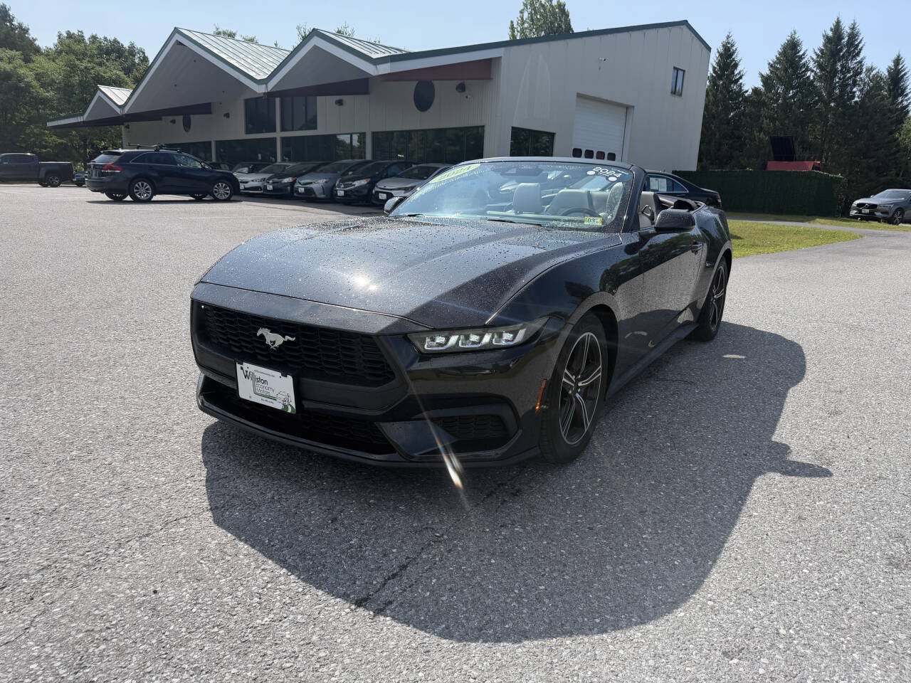 Used 2024 Ford Mustang Premium RWD image 1