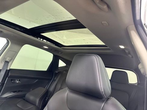 Certified 2025 Nissan Murano SL image 12