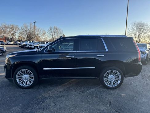 Used 2017 Cadillac Escalade Platinum image 5