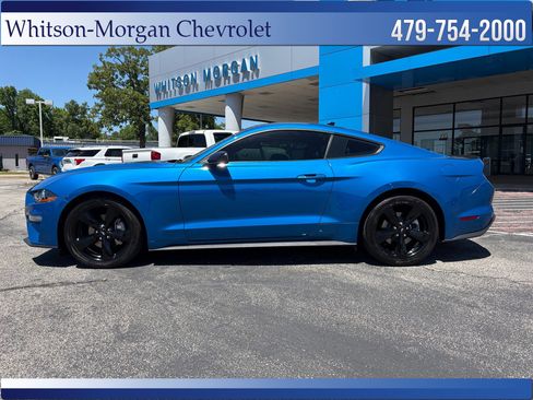 Used 2021 Ford Mustang Premium w/ Equipment Group 201A RWD image 8
