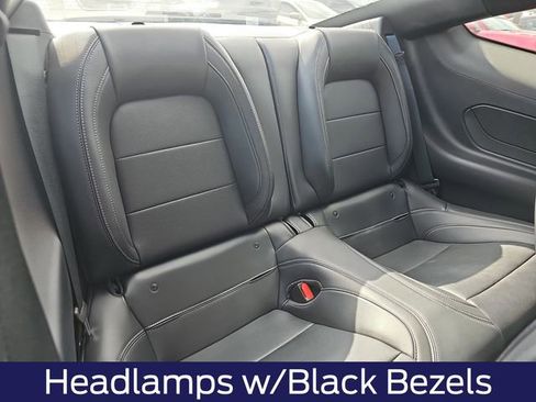 Used 2025 Ford Mustang GT Premium w/ Mustang Nite Pony Package image 13