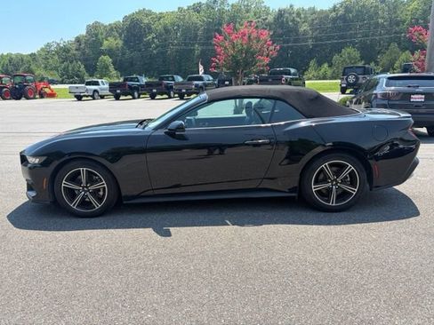 Used 2025 Ford Mustang Premium RWD image 31
