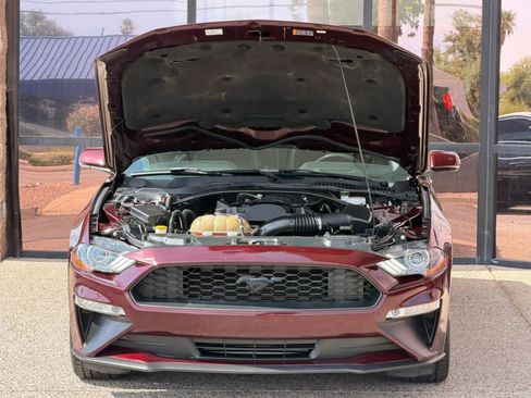 Used 2018 Ford Mustang Premium w/ Ecoboost Performance Package RWD image 24